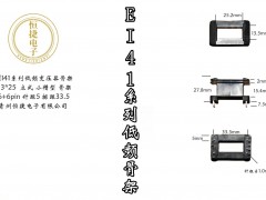 EI41-25 13*25(B) 立小槽骨架